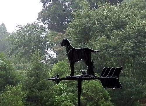 P7260004ame.jpg