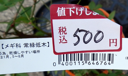 PB140003nan2.jpg